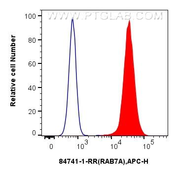 Flow cytometry (FC) experiment of K-562 cells using RAB7A Recombinant antibody (84741-1-RR)