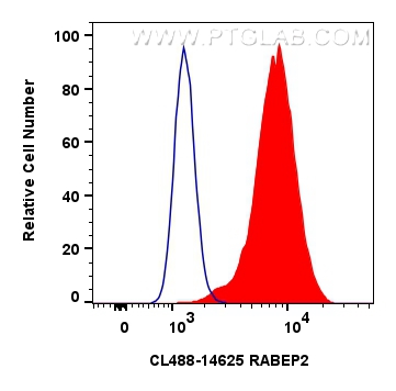 Flow cytometry (FC) experiment of MCF-7 cells using CoraLite® Plus 488-conjugated RABEP2 Polyclonal an (CL488-14625)