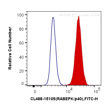Flow cytometry (FC) experiment of HeLa cells using CoraLite® Plus 488-conjugated RABEPK/p40 Polyclona (CL488-15105)