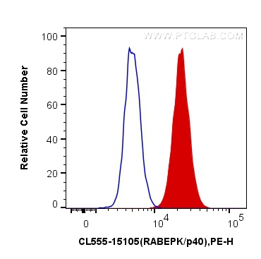 Flow cytometry (FC) experiment of HeLa cells using CoraLite®555-conjugated RABEPK/p40 Polyclonal anti (CL555-15105)