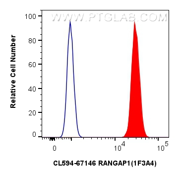 Flow cytometry (FC) experiment of HepG2 cells using CoraLite® Plus 594-conjugated RANGAP1 Monoclonal a (CL594-67146)