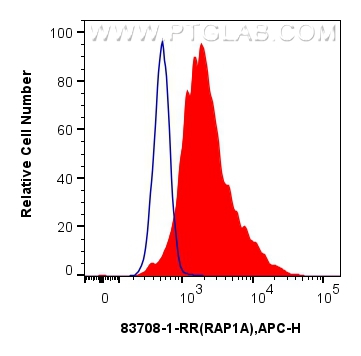 Flow cytometry (FC) experiment of HeLa cells using RAP1A Recombinant antibody (83708-1-RR)