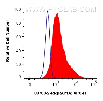 Flow cytometry (FC) experiment of HeLa cells using RAP1A Recombinant antibody (83708-2-RR)