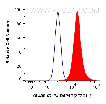 Flow cytometry (FC) experiment of HeLa cells using CoraLite® Plus 488-conjugated RAP1B Monoclonal ant (CL488-67174)