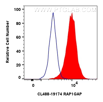 Flow cytometry (FC) experiment of HeLa cells using CoraLite® Plus 488-conjugated RAP1GAP Polyclonal a (CL488-19174)