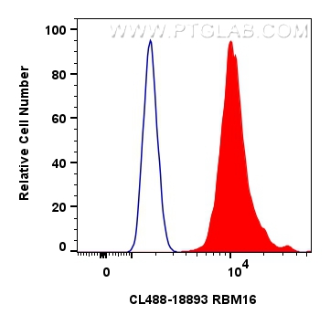 Flow cytometry (FC) experiment of HeLa cells using CoraLite® Plus 488-conjugated RBM16 Polyclonal ant (CL488-18893)