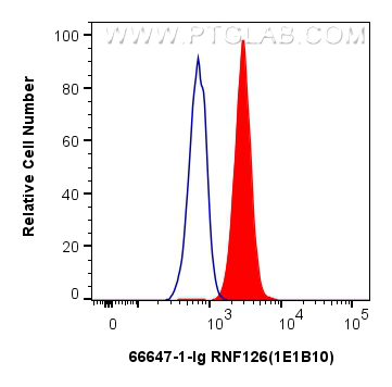 Flow cytometry (FC) experiment of Jurkat cells using RNF126 Monoclonal antibody (66647-1-Ig)