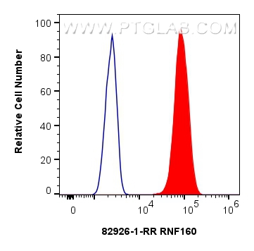 Flow cytometry (FC) experiment of U2OS cells using RNF160 Recombinant antibody (82926-1-RR)