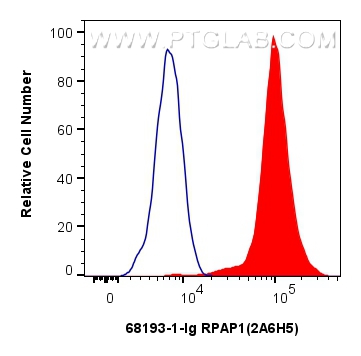 Flow cytometry (FC) experiment of HeLa cells using RPAP1 Monoclonal antibody (68193-1-Ig)