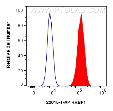 Flow cytometry (FC) experiment of BxPC-3 cells using RRBP1 Polyclonal antibody (22015-1-AP)