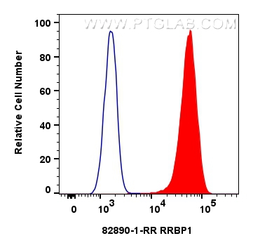Flow cytometry (FC) experiment of HeLa cells using RRBP1 Recombinant antibody (82890-1-RR)