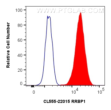 Flow cytometry (FC) experiment of HeLa cells using CoraLite®555-conjugated RRBP1 Polyclonal antibody (CL555-22015)