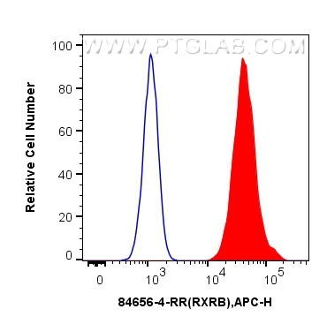 Flow cytometry (FC) experiment of HeLa cells using RXRB Recombinant antibody (84656-4-RR)