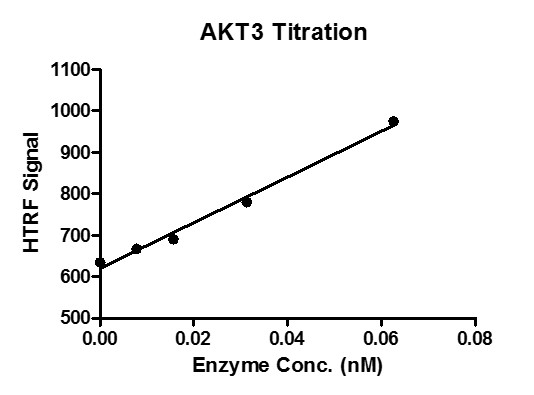 HTRF assay for recombinant AKT3 protein activity 1 uM STK S3 substrate was incubated with different concentrations AKT3 protein in a 10 ul reaction system for 1 hour. The 10 ul detection reagents were added and incubated with the reactions for 30 min. All the operations and reactions were performed at room temperature, and HTRF KinEASE STK assay was used to detect the enzymatic activity.