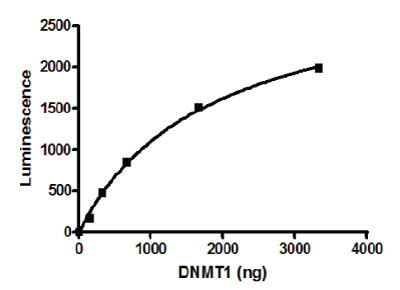 DNMT1 activity assay. Recombinant DNMT1 activity was incubated with 400 uM S-adenosylmethionine (SAM) and DNA substrate, followed by detection with anti-5mC antibody and chemiluminescent detection.