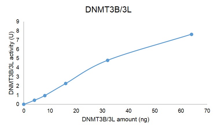 Recombinant DNMT3B / DNMT3L complex activity assay Assay was performed using DNMT Activity / Inhibition Assay, Active Motif Catalog No. 55006. Add 100 ul reaction mix containing DNMT3B/DNMT3L to wells coated with DNMT substrate. Incubation was for 2 hour at 37°C.