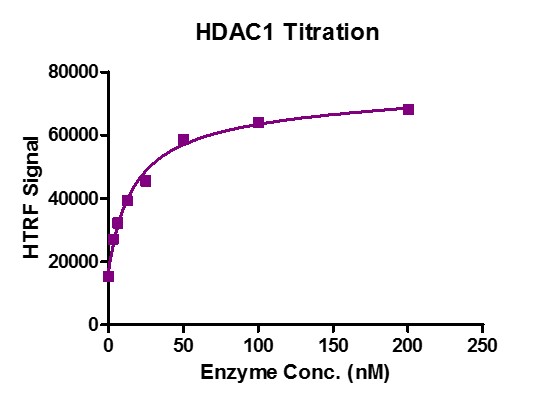 Recombinant HDAC1 activity by HTRF Assay. 1 μM H3K9ac (1-21aa.) peptide was incubated with different concentrations of HDAC1 protein in 10 μl reaction system containing 25 mM Tris-HCl pH 8.0, 137 mM NaCl, 2.7 mM KCl, 1 mM MgCl2, 0.1 mg/ml BSA for 30 min at room temperature, then 10 μl anti-H3K9me0 antibody and SA-XL665 mixture (1:100 dilution in HTRF Detection Buffer) was added to each reaction system and incubated for 30 min at room temperature. All operations and reactions were performed at room temperature. HTRF assay was used for detection.