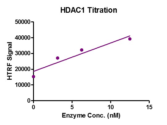 Recombinant HDAC1 activity by HTRF Assay. 1 μM H3K9ac (1-21aa.) peptide was incubated with different concentrations of HDAC1 protein in 10 μl reaction system containing 25 mM Tris-HCl pH 8.0, 137 mM NaCl, 2.7 mM KCl, 1 mM MgCl2, 0.1 mg/ml BSA for 30 min at room temperature, then 10 μl anti-H3K9me0 antibody and SA-XL665 mixture (1:100 dilution in HTRF Detection Buffer) was added to each reaction system and incubated for 30 min at room temperature. All operations and reactions were performed at room temperature. HTRF assay was used for detection.
