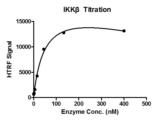 HTRF assay for IKKb activity 1 uM STK S3 substrate was incubated with different concentrations of IKKb protein in 10 ul reaction system containing 1×Enzymatic Buffer, 2 mM MgCl2, 1 mM DTT and 100 uM ATP for 1 hour. The detection reagents were added and incubated with the reactions for 1 hr. All the operations and reactions were performed at room temperature, and HTRF KinASE STK assay was used to detect the enzymatic activity.