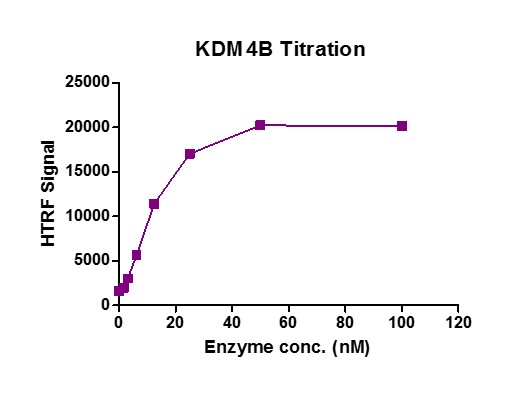 Recombinant JMJD2B / KDM4B protein HTRF activity assay. 3 μM H3K9me3 peptide was incubated with JMJD2B / KDM4B in reaction buffer for 1 hours at room temperature. JMJD2B / KDM4B enzyme was used in a HTRF assay to determine enzyme linearity. Demethylated peptide (H3K9me2) was measured using H3K9me2-specific antibody.