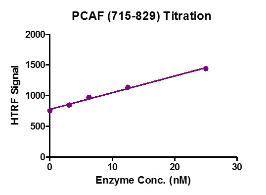 HTRF Assay for Recombinant KAT2B / PCAF (715-829) protein activity. 3 uM histone peptide H4K5/K8/K12/K16 (4ac) was incubated with KAT2B / PCAF (715-829) protein in reaction buffer including 50 mM HEPES-NaOH pH 7.0, 0.1% BSA for 1 hour at room temperature, Anti-Flag antibody was used to detect reaction products.