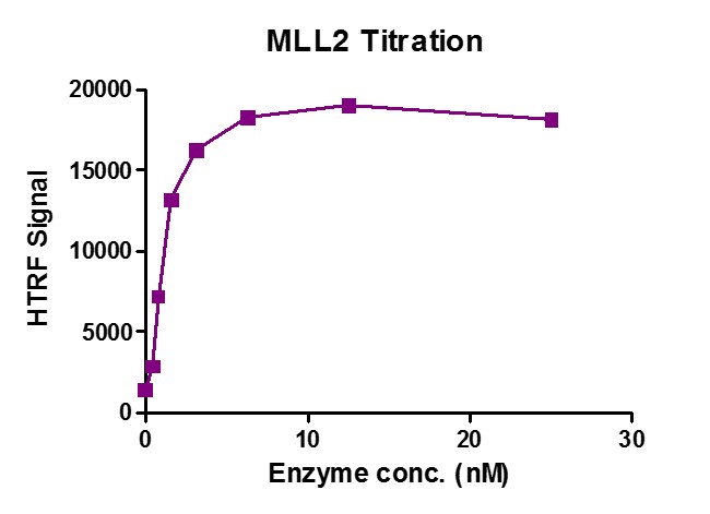 Recombinant KMT2D (MLL2) complex HTRF activity assay 3.3 uM H3K4me0 (1-21aa) peptide was incubated with KMT2D (MLL2) complex in reaction buffer for 3 hour at room temperature. KMT2D (MLL2) complex was used in a HTRF assay to determine enzyme linearity. Methylated peptide (H3K4me2) was measured using H3K4me2-specific antibody.