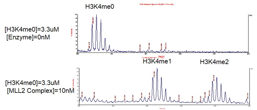 Recombinant KMT2D (MLL2) complex MALDI-TOF activity assay 3.3 uM H3K4me0 peptide was incubated with 10 nM KMT2D (MLL2) complex in reaction buffer for 3 hours at room temperature. The reaction product was detected by MALDI-TOF. Single 3.3 uM H3K4me0 peptide was used as negative control. Catalytic Ability: ~450 turnovers/ enzyme molecule