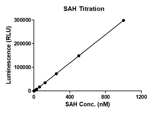 MTase-Glo assay for METTL3 / METTL14 Complex m6A methyltransferase activity 1 μM Substrate RNA (UAGAGGACCAGUCGGACCAGUCGGACCGAU) and 1 μM SAM was incubated with different concentrations of METTL3 / METTL14 Complex in an 8 ul reaction system containing 50 mM Tris-HCl pH 8.6, 0.02% Triton X-100, 2 mM MgCl2, and 1 mM TCEP at room temperature for 1 hour. 5xMTase-Glo Reagent was added to the products and incubated for 30 min, then MTase-Glo Detection was added and luminescence were read after another 30 min incubation. SAH standard curve (0-1 uM) was performed following the same protocol. MTase-Glo assay for METTL3 / METTL14 Complex m6A methyltransferase activity 1 μM Substrate RNA (UAGAGGACCAGUCGGACCAGUCGGACCGAU) and 1 μM SAM was incubated with different concentrations of METTL3 / METTL14 Complex in an 8 ul reaction system containing 50 mM Tris-HCl pH 8.6, 0.02% Triton X-100, 2 mM MgCl2, and 1 mM TCEP at room temperature for 1 hour. 5xMTase-Glo Reagent was added to the products and incubated for 30 min, then MTase-Glo Detection was added and luminescence were read after another 30 min incubation. SAH standard curve (0-1 uM) was performed following the same protocol.