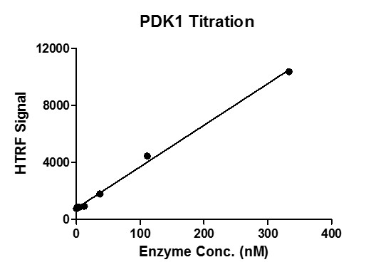 HTRF assay for PDK1 activity STK S3 substrated was incubated with varying concentrations of PDK1 protein in a reaction system containing Enzymatic Buffer, MgCl2, DTT and ATP for 1 hr at RT. HTRF KinASE STK assay was used to detect the enzymatic activity.