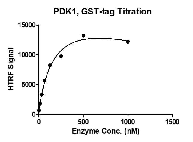 HTRF assay for Recombinant PDK1 protein, GST-Tag 1 uM STK S3 substrate was incubated with different concentrations of PDK1 protein in 10 ul reaction system containing 1×Enzymatic Buffer, 2 mM MgCl2, 1 mM DTT and 100 uM ATP for 1 hour. The detection reagents were added and incubated with the reactions for 1 hr. All the operations and reactions were performed at room temperature, and HTRF KinASE STK assay was used to detect the enzymatic activity.
