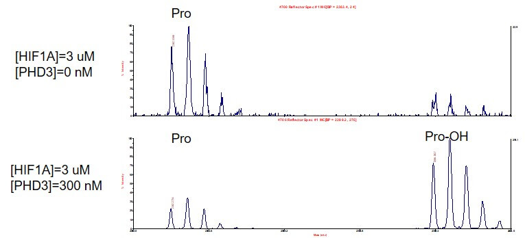 MALDI-TOF for Recombinant PHD3 (EGLN3) protein, FLAG-Tag 3 μM HIF1A peptide was incubated with 300 nM PHD3 protein in 30 μl reaction system containing 20 mM Tris-HCl pH 7.5, 5 mM KCl, 1.5 mM MgCl2, 1 mM DTT, 100 μM 2-oxoglutarate, 100 μM ascorbate and 50 μM (NH4)2Fe(SO4)2·6H2O for 2 hours at 30°C. MALDI-TOF was used for detection.