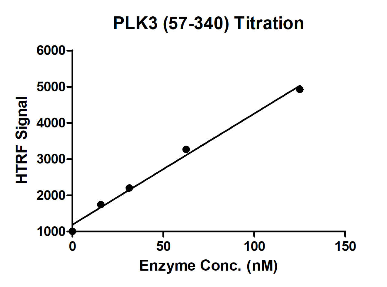 HTRF assay for PLK3 (57-340) activity 1 uM STK S3 substrate was incubated with different concentrations of PLK3 (57-340) protein in a 10 ul reaction system containing 1×Enzymatic Buffer, 5 mM MgCl2, 1 mM DTT, 2 mg/ml CaSein and 100 uM ATP for 1 hour. Then 10 ul detection reagents containing STK antibody (1:2) and SA-XL665 (1:100) diluted with 1× Detection Buffer were added and incubated with the reactions for 30 min. All the operations and reactions were performed at room temperature. HTRF assay was used for detection.