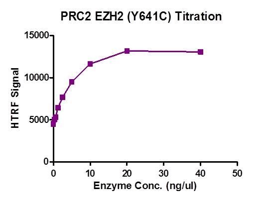 Recombinant PRC2 EZH2 (Y641C) complex activity assay. 1 uM H3K27me2 peptide was incubated with different concentration of PRC2 EZH2 (Y641C) complex in reaction buffer for 3 hour at room temperature. PRC2 EZH2 (Y641C) complex was used in a HTRF assay to determine enzyme linearity. Methylated peptide (H3K27me3) was measured using H3K27me3-specific antibody.