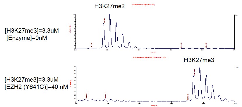 Recombinant PRC2 EZH2 (Y641C) complex activity assay. 1 uM H3K27me2 peptide was incubated with different concentration of PRC2 EZH2 (Y641C) complex in reaction buffer for 3 hour at room temperature. PRC2 EZH2(Y641C) complex was used in a HTRF assay to determine enzyme linearity. Methylated peptide (H3K27me3) was measured using H3K27me3-specific antibody.