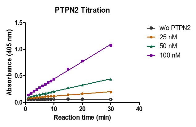 Recombinant PTPN2 protein activity assay. 1 mM pNPP was incubated with different concentrations of PTPN2 protein ina 100 ul reaction with buffer including 50 mM HEPES pH 7.5, 2 mM EDTA, 3 mM DTT, 100 mM NaCl at RT. The absorbance at 405 nm was continuously monitored for 30 minutes.