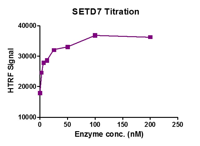 Recombinant SETD7 protein HTRF activity assay. 1 μM H3K4me0 (1-21aa) peptide was incubated with SETD7 in reaction buffer for 2 hour at room temperature. SETD7 enzyme was used in a HTRF assay to determine enzyme linearity. Methylated peptide (H3K4me1) was measured using H3K4me1-specific antibody.