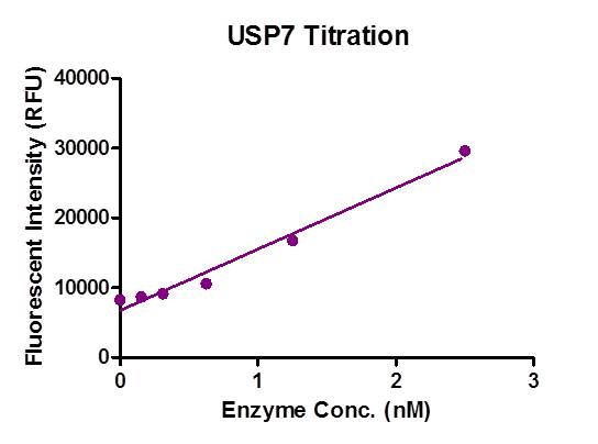 DUB-Detector assay (Cat. No. 40110) for USP7 protein activity 100 nM Fluorescent Substrate was incubated with different concentration of USP7 protein for 1 hour at room temperature. The fluorescent intensity of the reaction was measured with an excitation wavelength of 485 nm and an emission wavelength of 535nm.