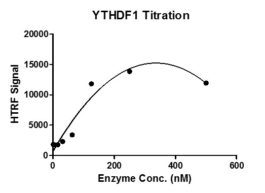 HTRF Assay for Recombinant YTHDF1 protein activity. 3 uM m6A ssDNA oligos (DNA sequence: 5’-GTTGG/ m6A/CTT-3’) were incubated with YTHDF1 protein in binding buffer including 50 mM HEPES-NaOH pH 7.0, 0.1% BSA for 1 hour at room temperature. Anti-FLAG antibody was used to detect reaction products.