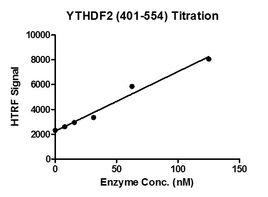 HTRF for YTHDF2 (401-554) activity 3 uM oligo m6A ssDNA (GTTGG/m6A/CTT) was incubated with different concentrations of YTHDF2 (401-554) protein in 10 ul reaction system containing 50 mM HEPES-NaOH pH 7.5, 0.1% BSA for 1 hour, then 10 ul FLAG antibody and SA-XL665 mixture (1:100 dilution in the same buffer) was added to each reaction system and incubated for 30 min. All the operations and reactions were performed at room temperature. HTRF assay was used for detection.