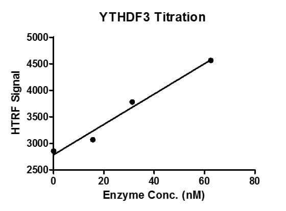 HTRF assay for YTHDF3 protein activity 3 uM biotinylated m6A ssDNA oligos (GTTGG/m6A/CTT) were incubated with different concentrations of YTHDF3 protein in a 10 ul system containing 50 mM HEPES-NaOH pH 7.4, 0.1% BSA for 1 hr, then 10 ul FLAG antibody and SA-XL665 mixture (each 1:100 dilution in reaction buffer) was added to each reaction system and incubated for 30 min. All the operations and reactions were performed at room temperature. HTRF assay was used for detection.