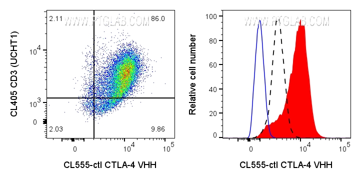 Left: 1x10^6 PHA-treated (3d) human PBMCs were surface stained with 1ug CoraLite® Plus 555 conjugated CTLA-4 VHH (CL555-ctl) and CL405 CD3 (CL405-65151). Right: 1x10^6 PHA-treated (3d) human PBMCs were surface stained with 1ug CoraLite® Plus 555 conjugated CTLA-4 VHH (CL555-ctl) (red) or unstained (blue). 1X10^6 untreated human PBMCs were surface stained with 1ug CoraLite® Plus 555 conjugated CTLA-4 VHH (CL555-ctl) (black dashed). Cells were treated with FC Receptor Block prior to staining. Cells were fixed and permeabilized using Transcription Factor Staining Buffer Kit (PF00011). Lymphocytes were gated.