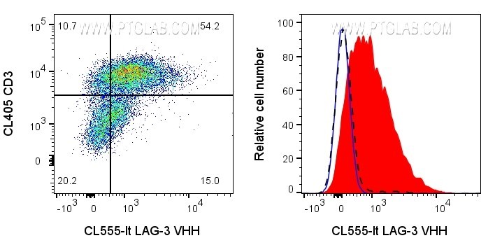 Left: 1x10^6 PHA-treated (3d) human PBMCs were surface stained with 1ug CoraLite® Plus 555 conjugated LAG-3 VHH (CL555-lt) and CL405 CD3 (CL405-65151). Right: 1x10^6 PHA-treated (3d) human PBMCs were surface stained with 1ug CoraLite® Plus 555 conjugated LAG-3 VHH (CL555-lt) (red) or unstained (blue). 1X10^6 untreated human PBMCs were surface stained with 1ug CoraLite® Plus 555 conjugated LAG-3 VHH (CL555-lt) (black dashed). Cells were treated with FC Receptor Block prior to staining. Cells were not fixed. Lymphocytes were gated.