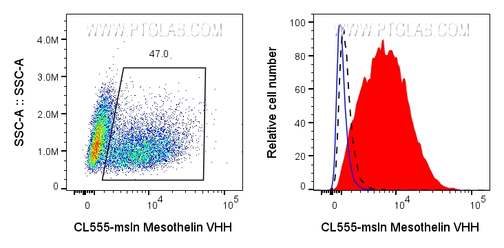 Left: 0.5x10^6 mixed HeLa and PC-3 cells were surface stained with 0.125ug CoraLite® Plus 555 conjugated Mesothelin VHH (CL555-msln). Right: 0.5x10^6 HeLa (red) or PC-3 (black dashed) cells were surface stained with 0.125ug CoraLite® Plus 555 conjugated Mesothelin VHH (CL555-msln) or unstained (blue).