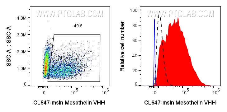 Left: 0.5x10^6 mixed HeLa and PC-3 cells were surface stained with 0.5ug CoraLite® Plus 647 conjugated MSLN VHH (CL647-msln). Right: 0.5x10^6 HeLa (red) or PC-3 (black dashed) cells were surface stained with CoraLite® Plus 647 conjugated MSLN VHH (CL647-msln) or unstained (blue).