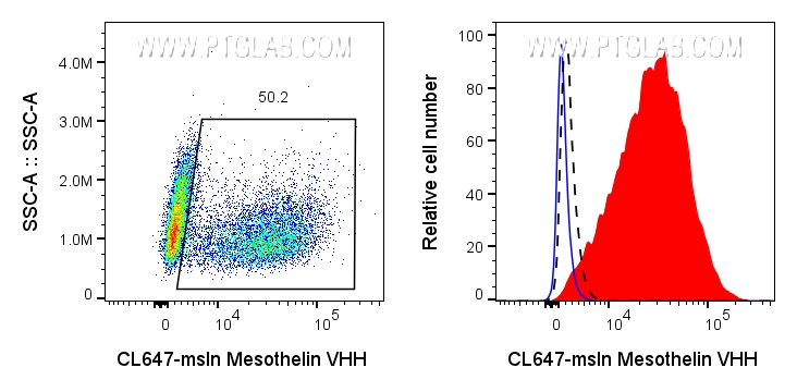 Left: 0.5x10^6 mixed HeLa and PC-3 cells were surface stained with 0.0625ug CoraLite® Plus 647 conjugated Mesothelin VHH (CL647-msln). Right: 0.5x10^6 HeLa (red) or PC-3 (black dashed) cells were surface stained with 0.0625ug CoraLite® Plus 647 conjugated Mesothelin VHH (CL647-msln) or unstained (blue).