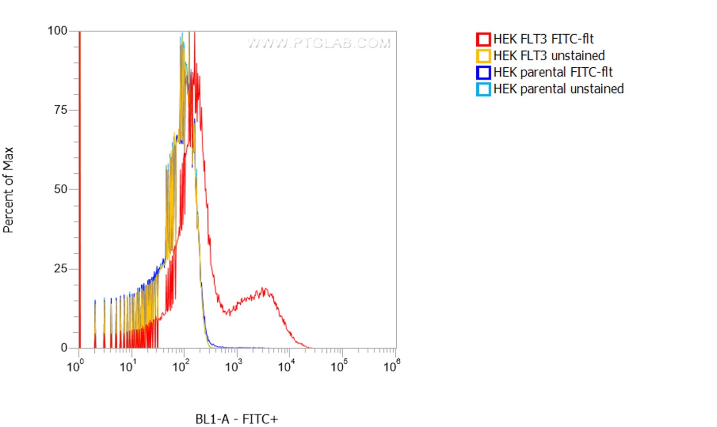 1X10^6 HEK FLT3 transient transfected cells (red) and HEK parental cells were surface stained with 0.5 µg FITC Plus conjugated-FLT3 VHH (FITC-flt). Cells were not fixed.