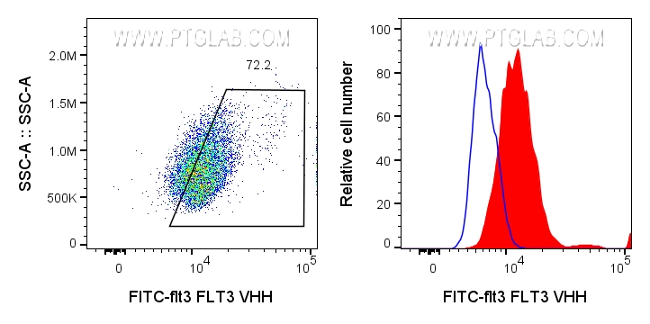 0.5x10^6 KG-1 cells were surface stained with 2ug FITC Plus conjugated FLT3 VHH (FITC-flt3) (red) or unstained (blue).
