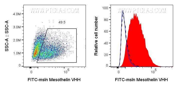 Left: 0.5x10^6 mixed HeLa and PC-3 cells were surface stained with 0.125ug FITC Plus conjugated Mesothelin VHH (FITC-msln). Right: 0.5x10^6 HeLa (red) or PC-3 (black dashed) cells were surface stained with 0.125ug FITC Plus conjugated Mesothelin VHH (FITC-msln) or unstained (blue).