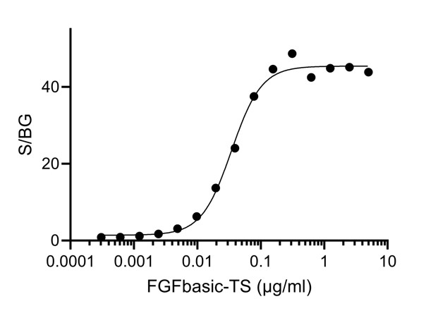 ELISA analysis of the capture of varying concentrations of HumanKine FGFbasic-TS (HZ-1285) by biotinylated anti-FGF-basic VHH (bfgf-b). Detection via mouse IgG1 PTG 69024-1-Ig.