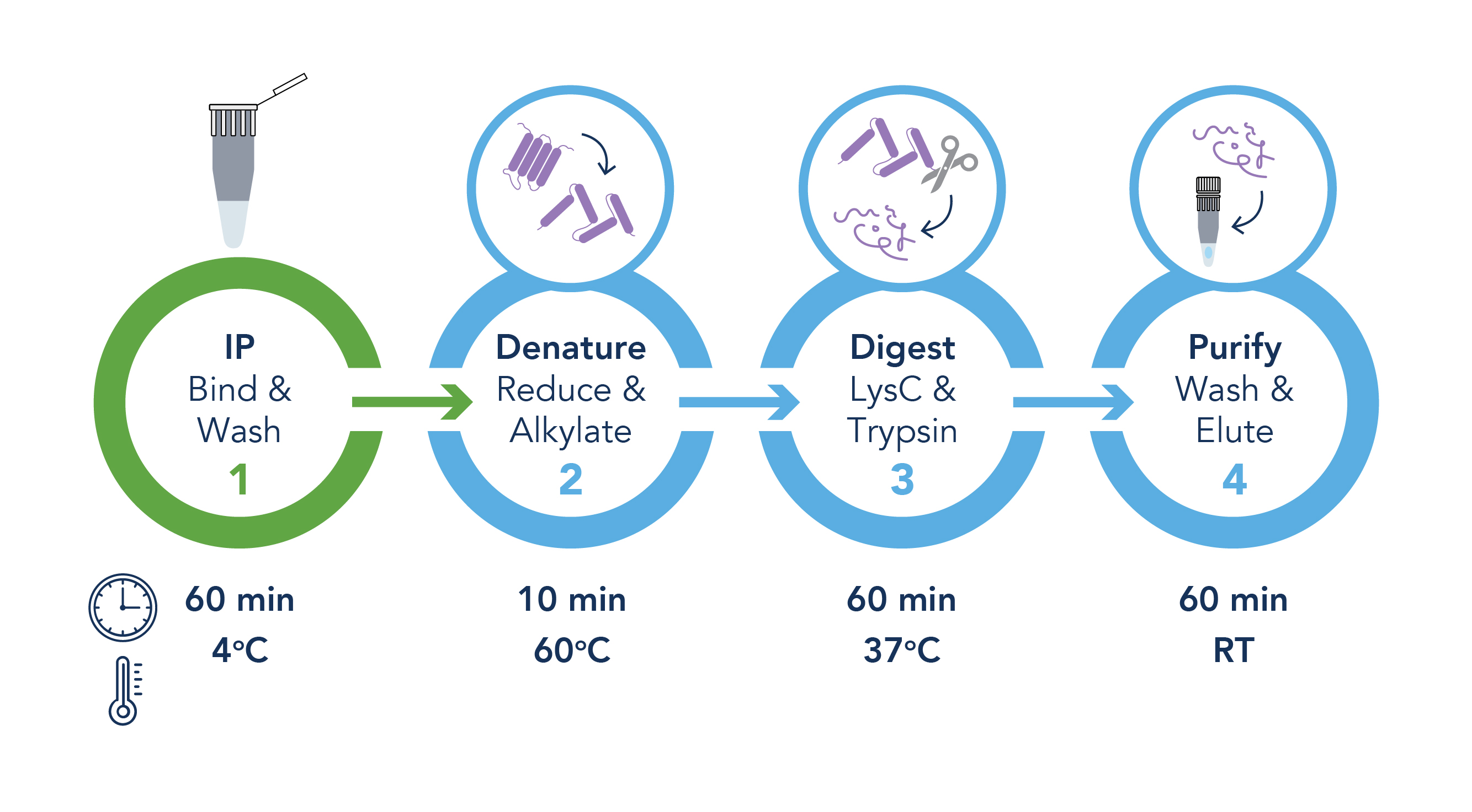 Schematic workflow of iST Nano-Trap® Kit